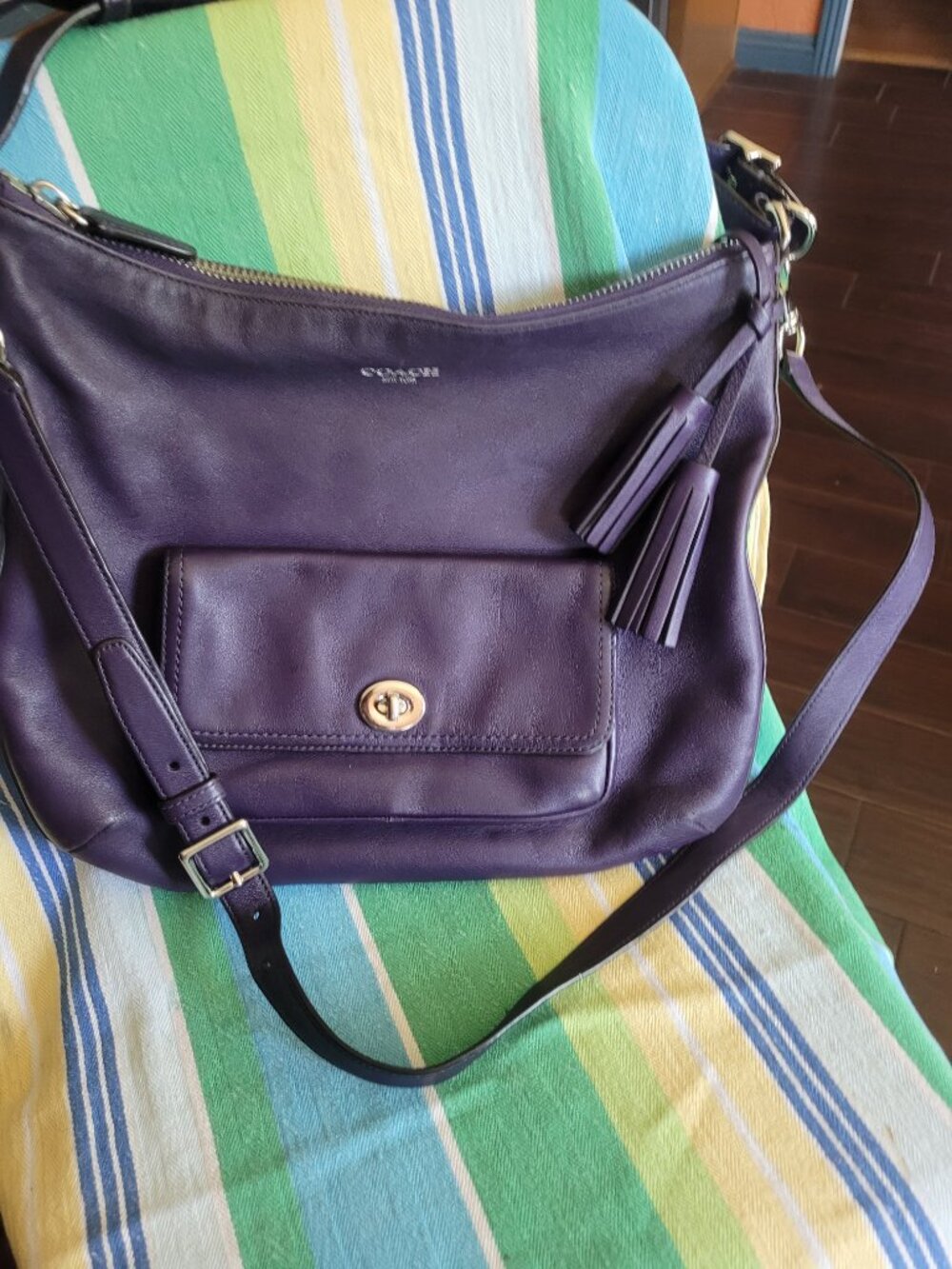 Deep Purple Coach Legacy Leather Courtenay Hobo Bag